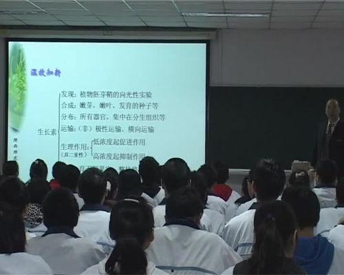 名师课堂视频,深度解析教学策略与技巧